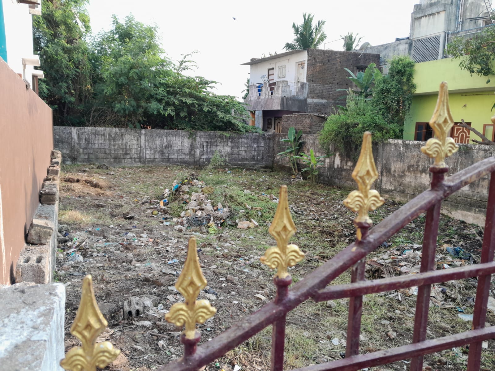 Plot View