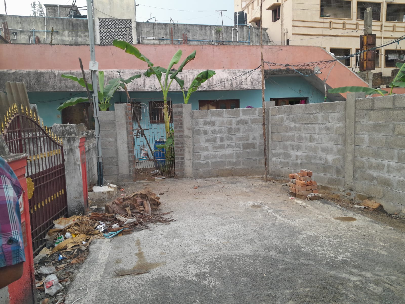 Plot Back view